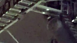 tranny pulls out dick on cablebus exhibition