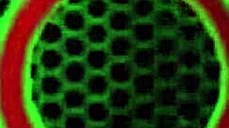 Ron Jeremy Bangs Teen Carey Riley's Wet Pussy