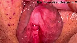 Amateur pink pussy exposed 113 days after first time