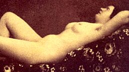 Pornostalgia brings the baker's retro hairy beaver to life.