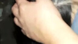 We fuck with our neighbor in the barn so no one catches us 😏