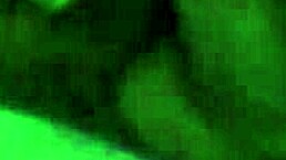 sucked off her lover while hubby was at work!