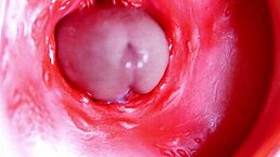 大红屌猛钻多汁洞，瞬间射精爆炸！