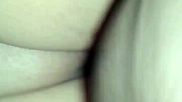 Bbc Deep In Her Guts!