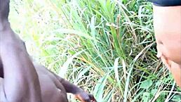 man, i’m stretching this african pussy with my dick outdoor in a wild group bang