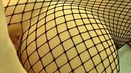 hermoso coño LABIOS gordos getting CREAMPIE