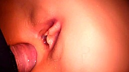 Cute Doll's Ass and Pussy Drilled Hard