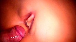 Cute Doll's Ass and Pussy Drilled Hard