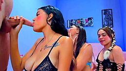 跪妹热情深喉口爆让我抖不停