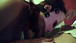 naughty bunny gives blowjob leading to cumshot
