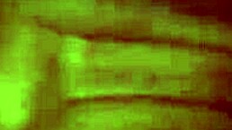 凯莲和内莎用玩具玩屁股，男人加入前