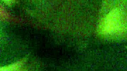 嘿，看这肥臀，想看更多吗？