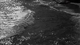 Vintage Erotic DRAWINGS Showcase Timeless Sensual ART