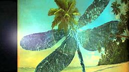 Dark Lantern Entertainment unveils hairy retro orgy with Freddie