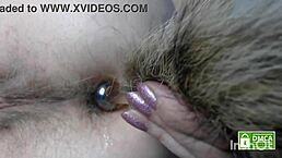 Watch that hairy toy in my ass! Silent farts?