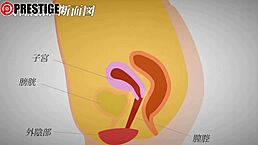 ugh, i meant to share the full vid... check this japanese creampie with big tits... sry!