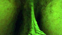 Hallelujah Johnson Worships Ass In Detailed Scene