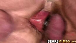 Bearded bear with a cock ring has sex with an adult man