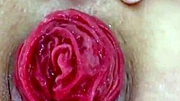 Can You Handle This Juicy Prolapse Asshole Close Up?