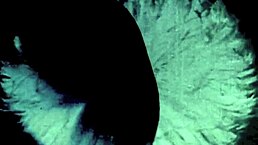 Dark Lantern Entertainment Presents Erotic Confessions from a Victorian Gentleman's Secret Life