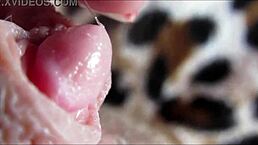 big clit orgasm closeup with close-up view