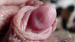 big clit orgasm closeup with close-up view