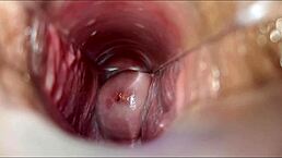Intense Vaginal Orgasm Explored With Speculum In Detailed Session One