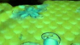 I got caught giving a happy ending on hidden cam