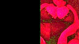 Will This Amateur Get Shaved And Fucked In Missionary?