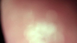 Ansima e Geme, Abre a Boca e Bebe Meu Esperma!