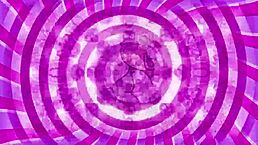 Do you want to lick it up during sissification training?