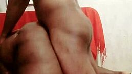 sundaydogood614 update 810 vid 20250305 151634 mar 05 2025