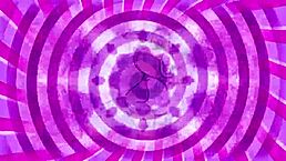 Do you want to lick it up during sissification training?