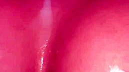 Wife gets cum on tits during shower blowjob