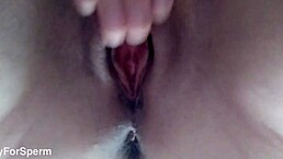 Amateur Babe Masturbates Pink Pussy While Her Stepdad Is In The Next Room With Friends - Solo Masturbation And Real Female Orgasm