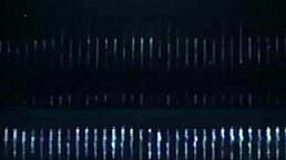 Aubry Babcock's Best Friend Pounds Her