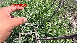 I love risky public sex with my roommate during Halloween roleplay