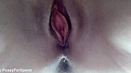 Amateur Babe Masturbates Pink Pussy While Her Stepdad Is In The Next Room With Friends - Solo Masturbation And Real Female Orgasm