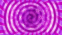 femdom mistress teases sissy with monster cock anal