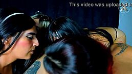 Hey, this lucky colombian boy gets sloppy deepthroat blowjobs from four pretty babes with natural tits in a homemade teasing session.