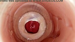 镜头直捅骚逼拍爆精狂喷