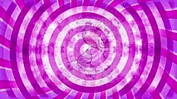 i compiled rangel carlos and bruna carlos in bora cast