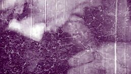 Ever wonder about step grandmothers’ sins? Dark Lantern reveals retro hairy confessions!