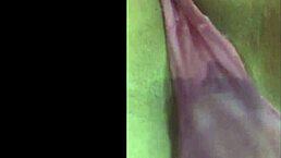 Can You Watch The Beautiful Latina Masturbate With Dildo In Her Room?