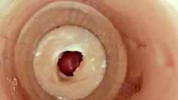 镜头直捅骚逼拍爆精狂喷