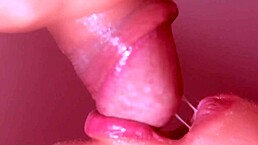 Is This Cheating Wife Swallowing Cum In Mouth Close-Up In Part 01?