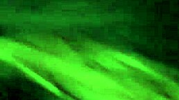 Blue-Eyed Amateur Girl Sucks for Cum in Mouth