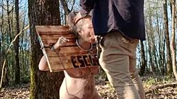 submissive slave f bound in stocks for extreme european exhibition on april 8, 2025