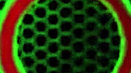 Bound girl receives enema in bucket play