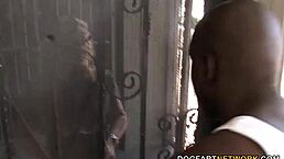 Flower Tucci's pussy and ass ravaged by BBCs